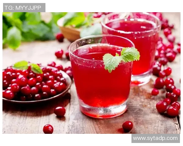 马提尼与墨西哥的风味对决探索两种经典饮品的独特魅力与文化背景